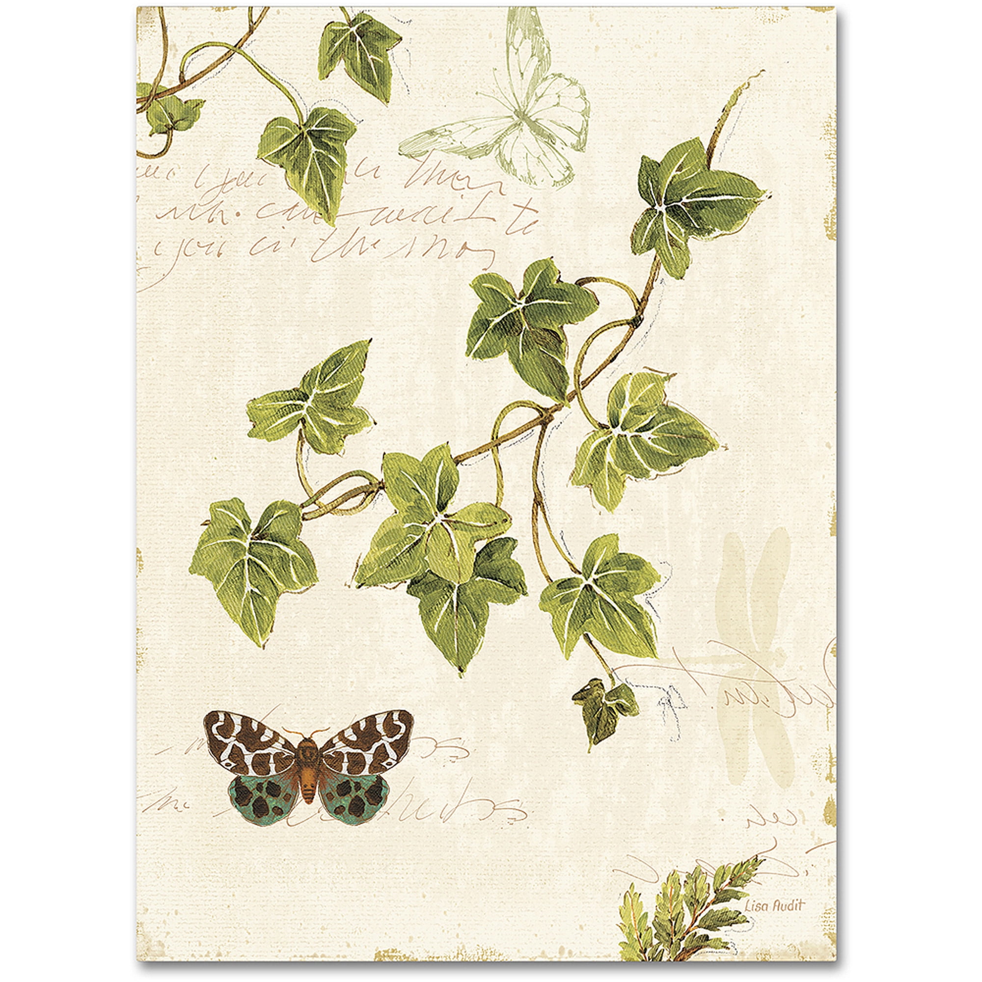 Ivies and Ferns II 14" x 19" Canvas Nature Painting
