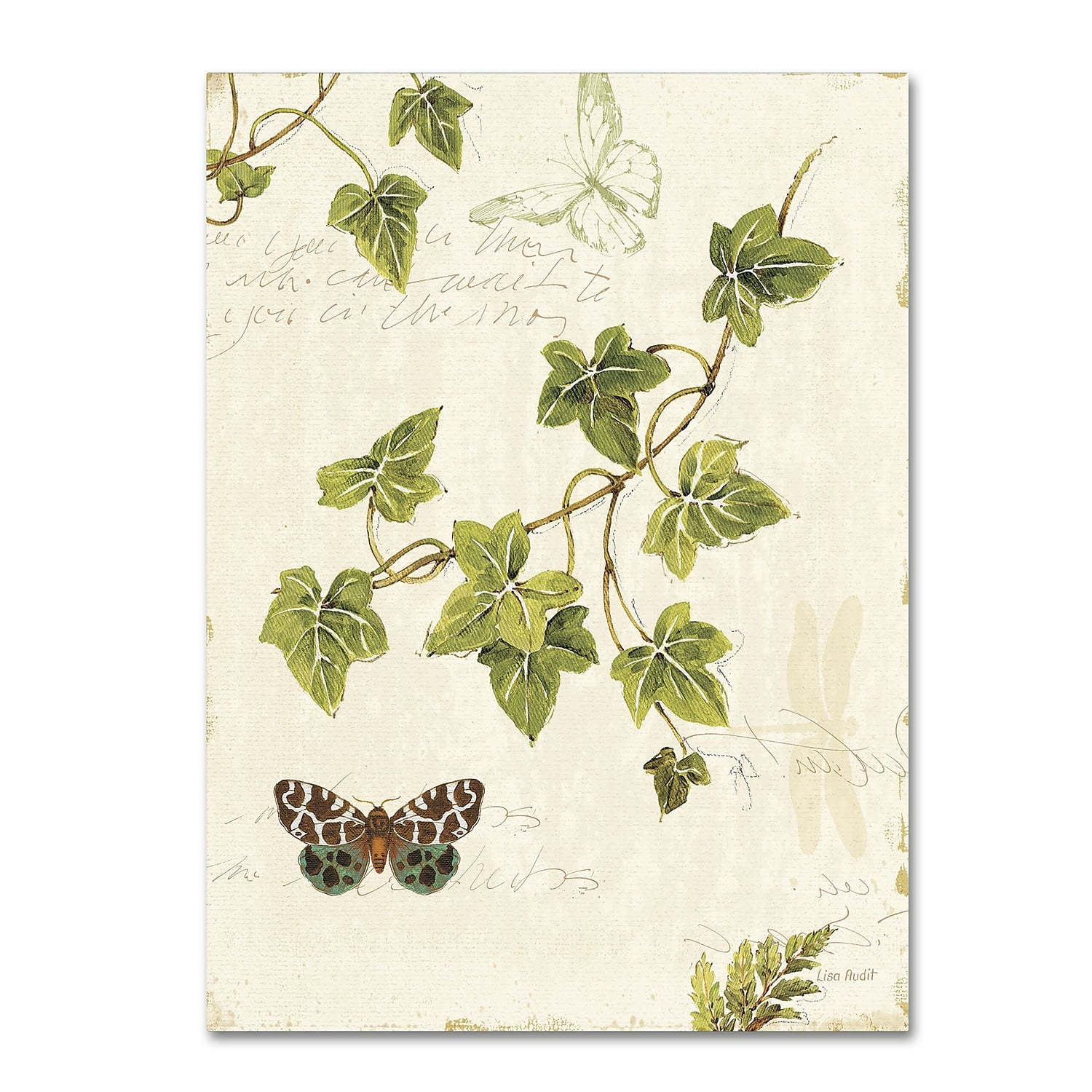 Trademark Fine Art "Ivies and Ferns II" Canvas Art by Lisa Audit