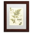 thumbnail image 1 of Trademark Fine Art "Ivies and Ferns III" Canvas Art by Lisa Audit, White Matte, Wood Frame, 1 of 4