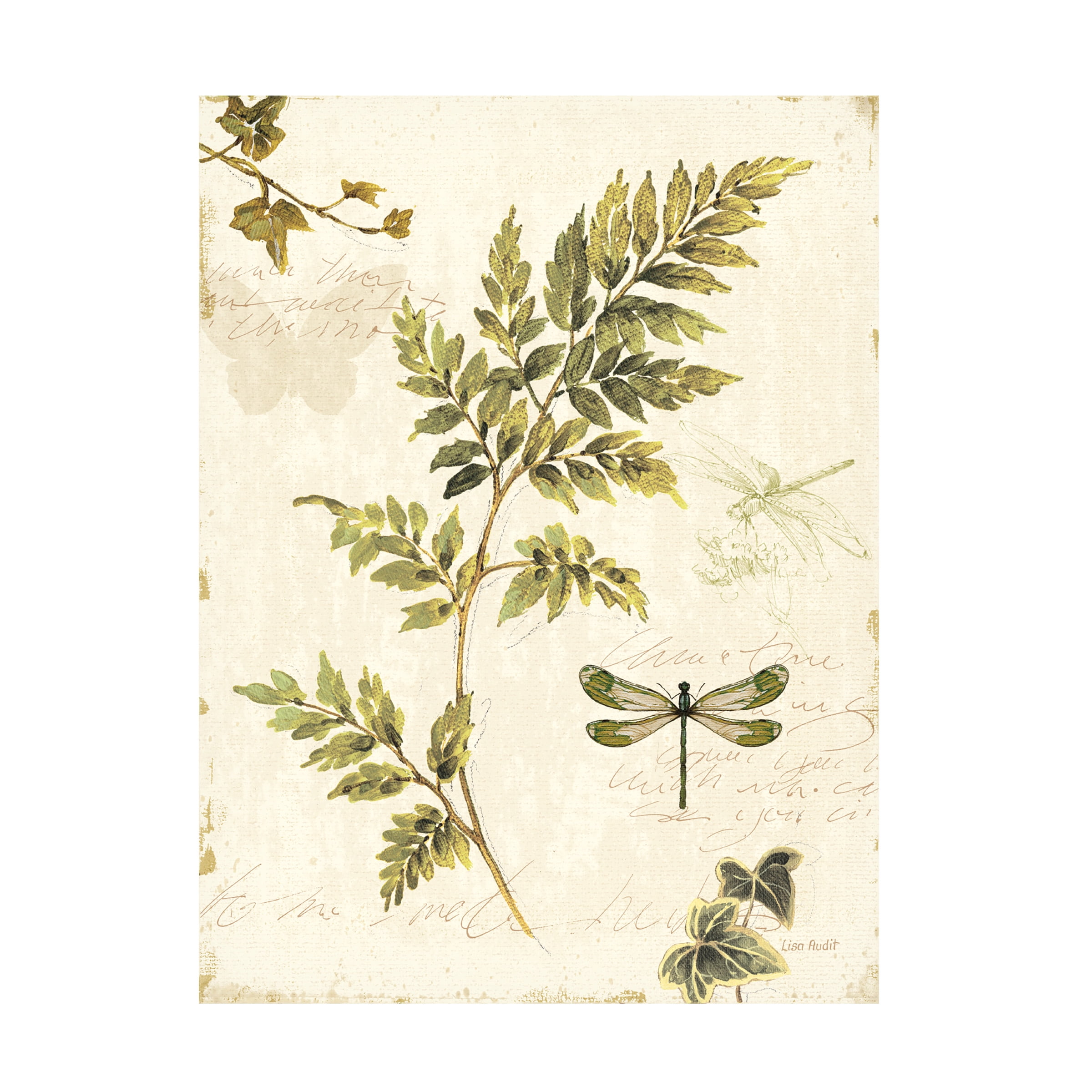 Trademark Fine Art Lisa Audit Ivies and Ferns III Canvas Wall Art - 35x47