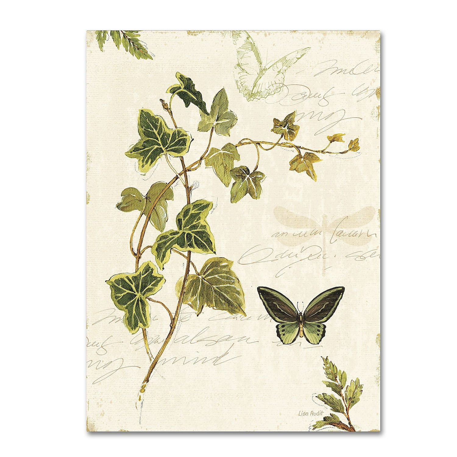 Ivies and Ferns IV Framed Floral Canvas Art, 35 x 47 Inches