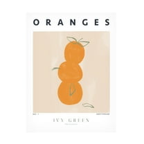 Trademark Fine Art Ivy Green Illustrations Oranges Canvas Wall Art
