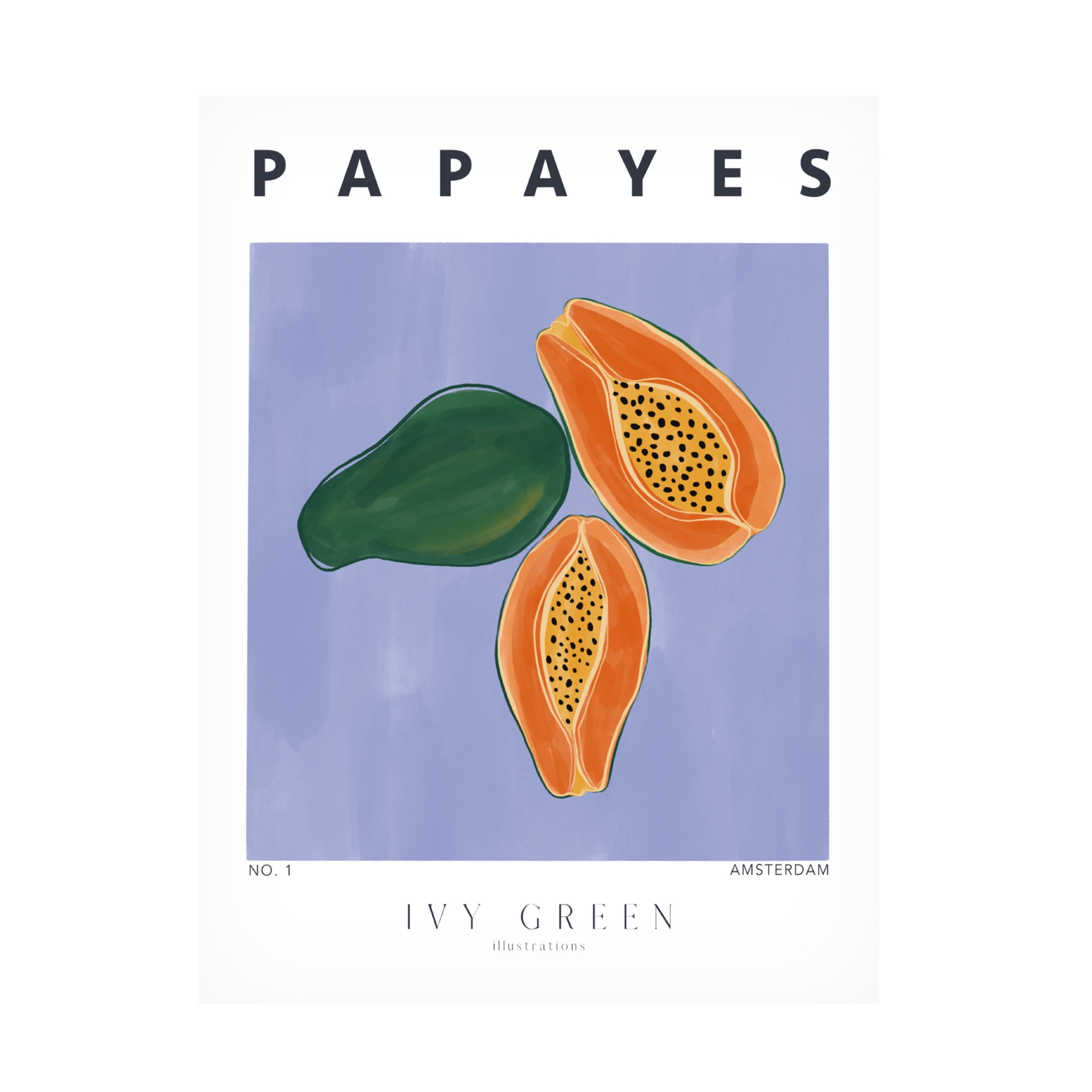 Trademark Fine Art Ivy Green Illustrations Papayes Canvas Wall Art