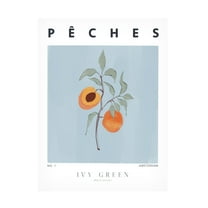 Trademark Fine Art Ivy Green Illustrations Peaches Canvas Wall Art