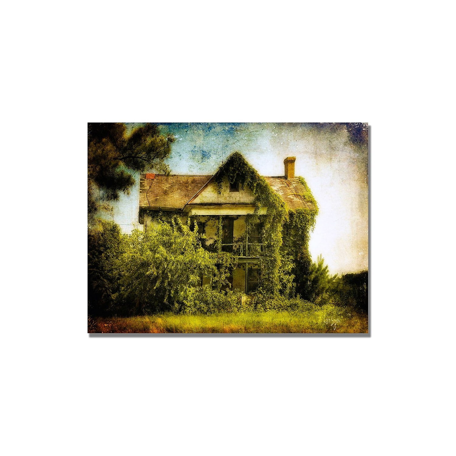 Trademark Fine Art "Ivy House" Canvas Wall Art by Lois Bryan