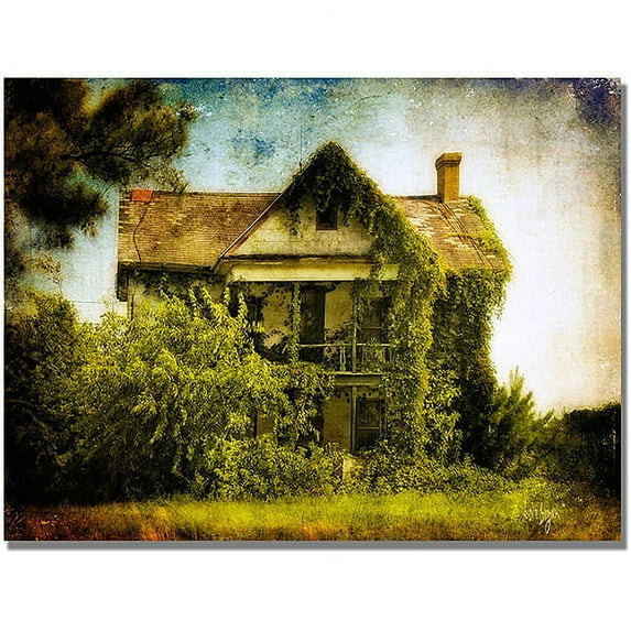 Trademark Fine Art "Ivy House" Canvas Wall Art by Lois Bryan