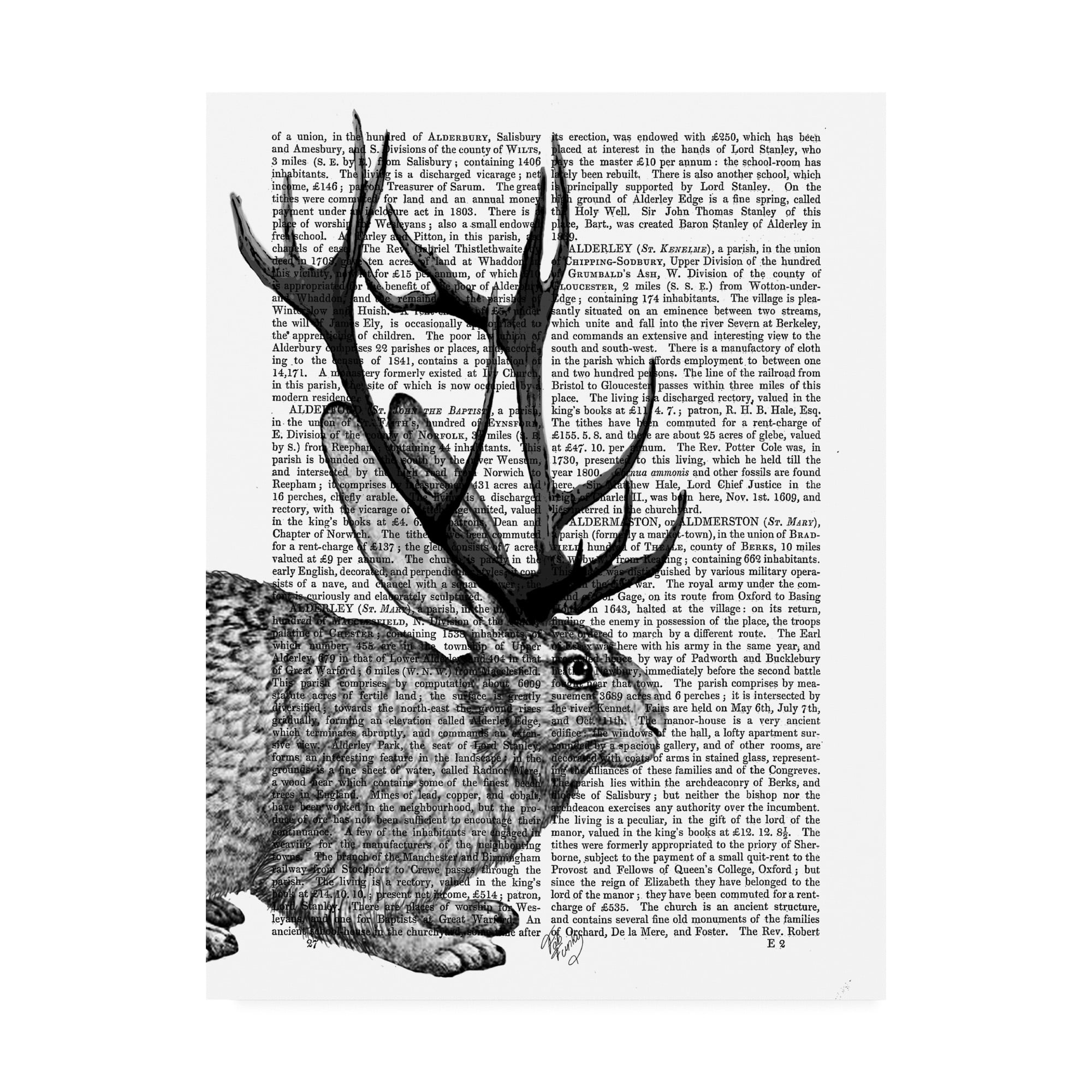 Trademark Fine Art 'Jackalope Portrait 2' Canvas Art by Fab Funky