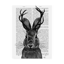 Trademark Fine Art 'Jackalope With Grey Antlers' Canvas Art by Fab Funky