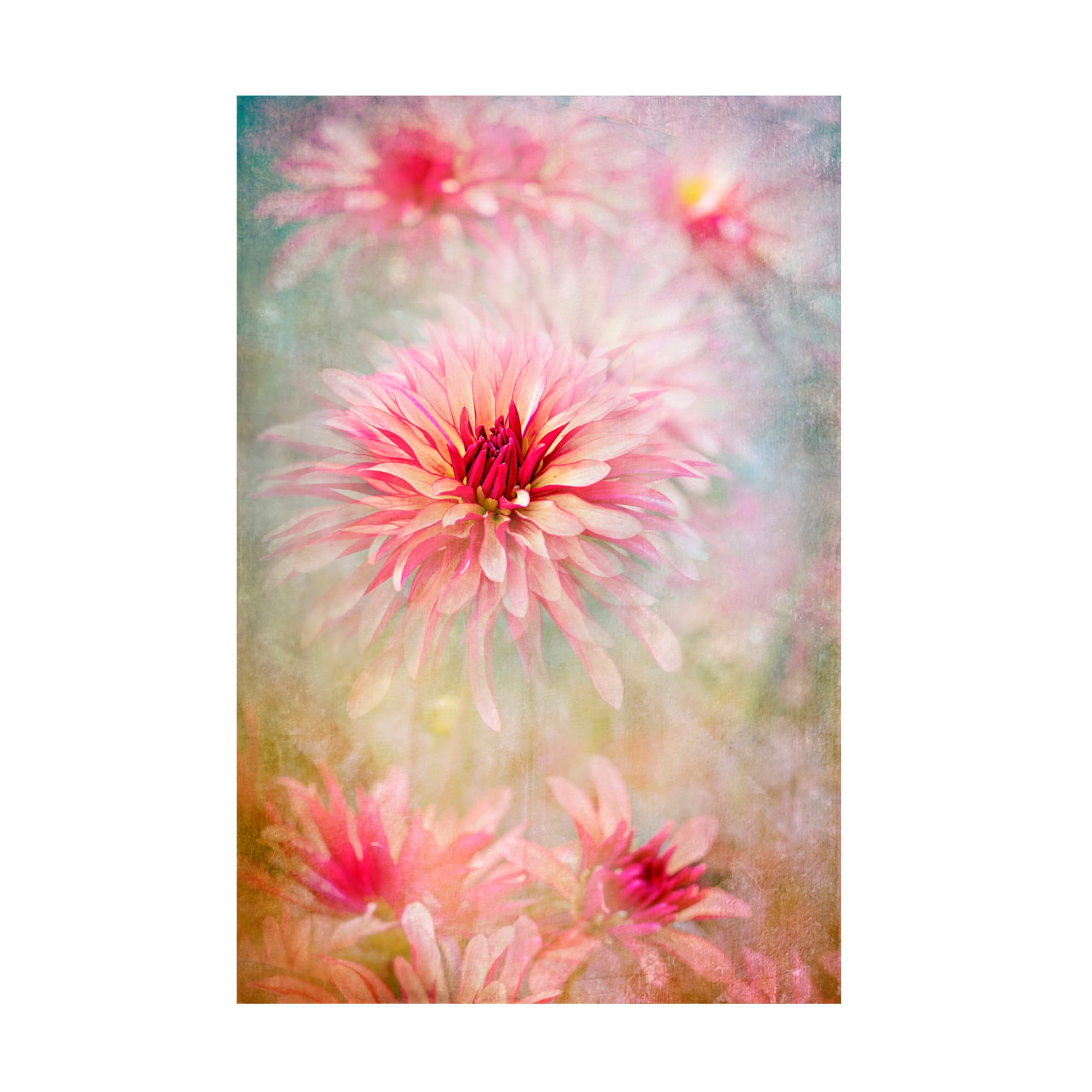 Trademark Fine Art Jacky Parker Chic Canvas Wall Art