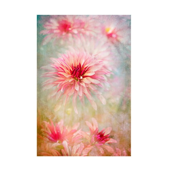 Trademark Fine Art Jacky Parker Chic Canvas Wall Art