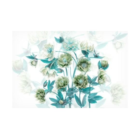 Trademark Fine Art Jacky Parker Flourishing Canvas Wall Art