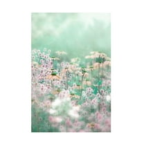 Trademark Fine Art Jacky Parker Melody Canvas Wall Art