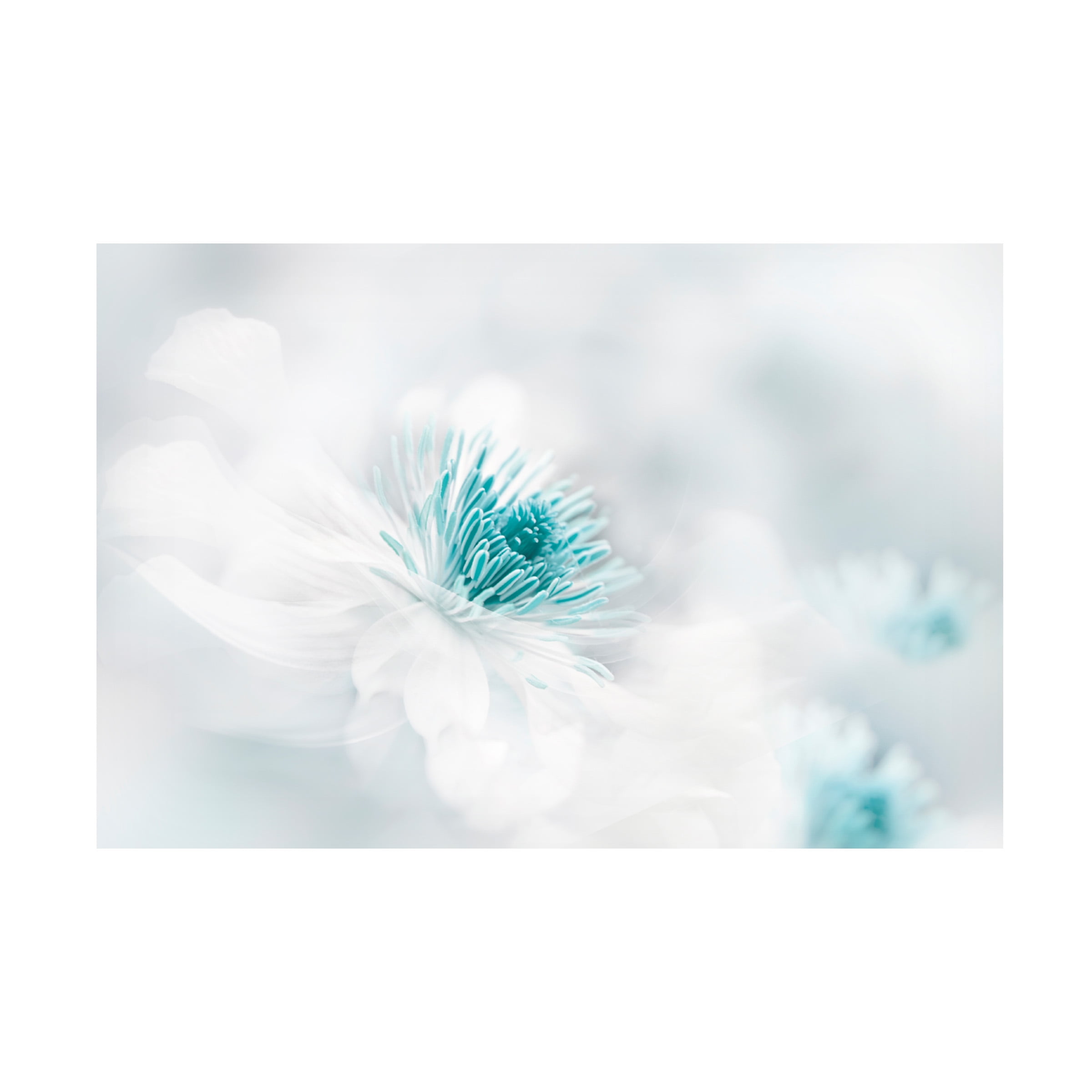 Trademark Fine Art Jacky Parker  Nirvana Canvas Wall Art