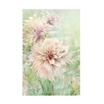 Trademark Fine Art Jacky Parker Romance Canvas Wall Art