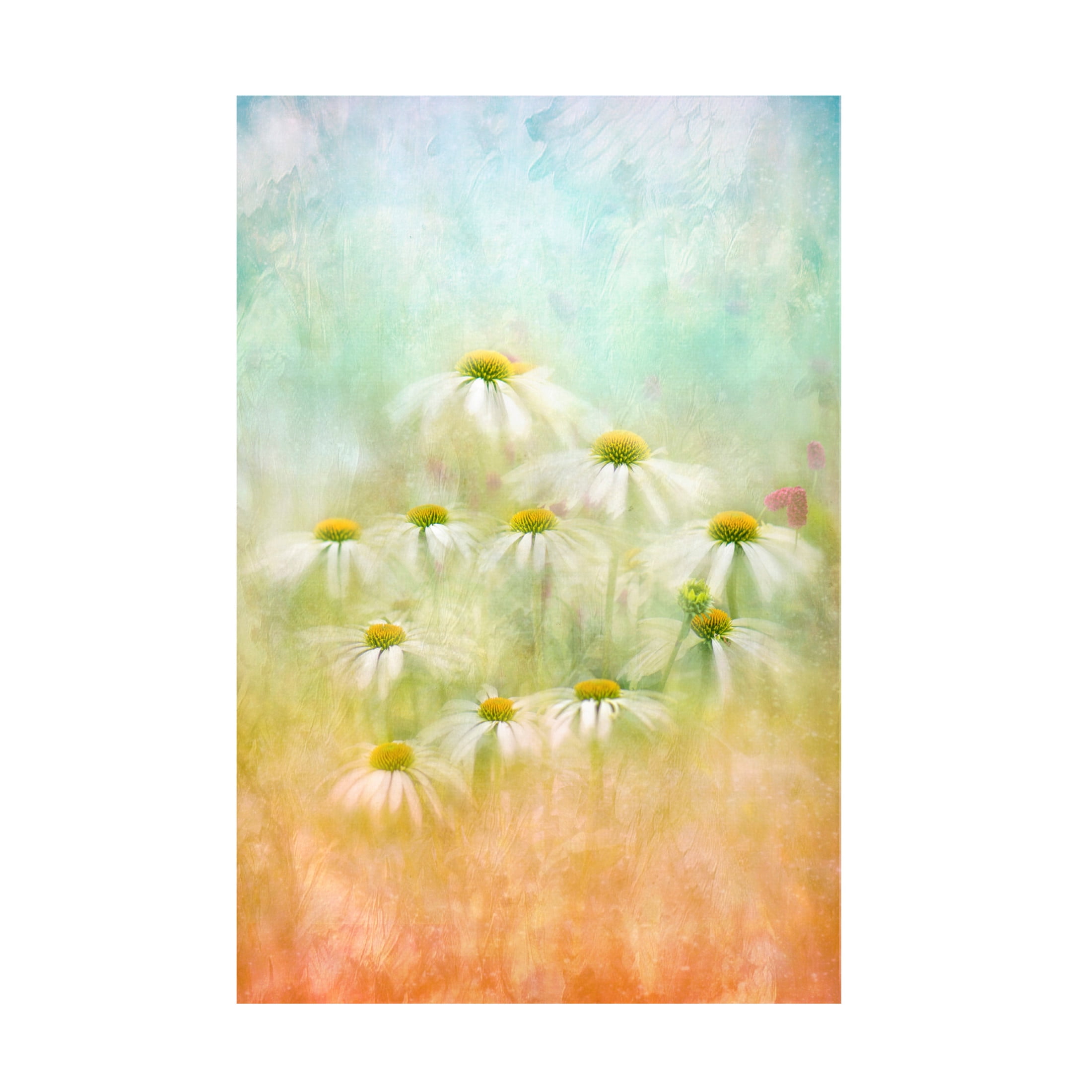 Trademark Fine Art Jacky Parker Subtle Summer Canvas Wall Art