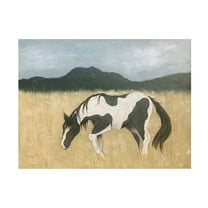 Trademark Fine Art Jade Reynolds  Born Free I Canvas Wall Art