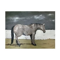 Trademark Fine Art Jade Reynolds Born Free II Canvas Wall Art