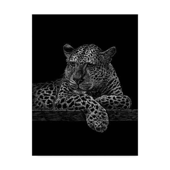 Trademark Fine Art 'Jaguar' Canvas Art by Geraldine Aikman
