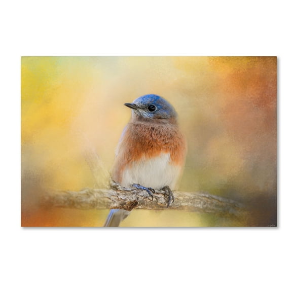 Trademark Fine Art Jai Johnson Autumn's Treasure Canvas Wall Art - 22x32