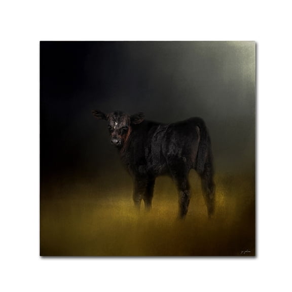 Trademark Fine Art Jai Johnson Black Angus Calf In The Moonlight Canvas Wall Art - 24x24