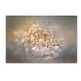 thumbnail image 1 of Trademark Fine Art Jai Johnson Blushing Silver And Gold Peony Canvas Wall Art - 16x24, 1 of 4