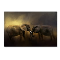 Trademark Fine Art Jai Johnson Together Through The Storms Canvas Wall Art - 16x24