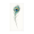 thumbnail image 1 of Trademark Fine Art 'Jaipur IX' Canvas Art by Danhui Nai, 1 of 4