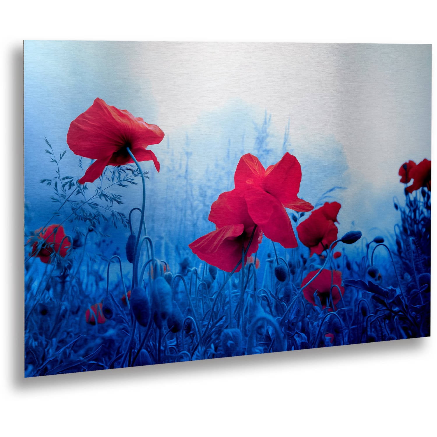 Trademark Fine Art "Jam for Poppies" Brushed Aluminum Wall Art Art by Philippe Sainte-Laudy 16" x 22"