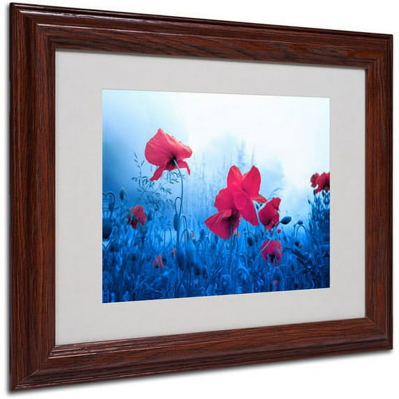 Trademark Fine Art "Jam for Poppies" Canvas Art by Philippe Sainte-Laudy, Wood Frame