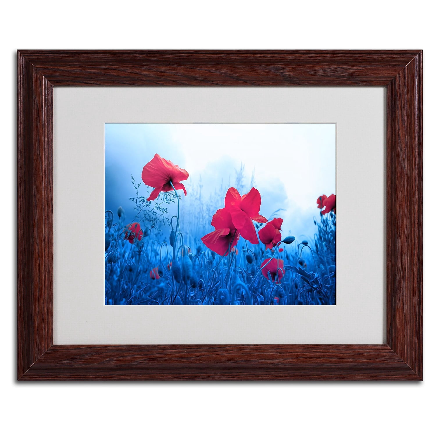 Trademark Fine Art "Jam for Poppies" Canvas Art by Philippe Sainte-Laudy, Wood Frame