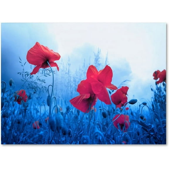 Trademark Fine Art "Jam for Poppies" Canvas Art by Philippe Sainte-Laudy