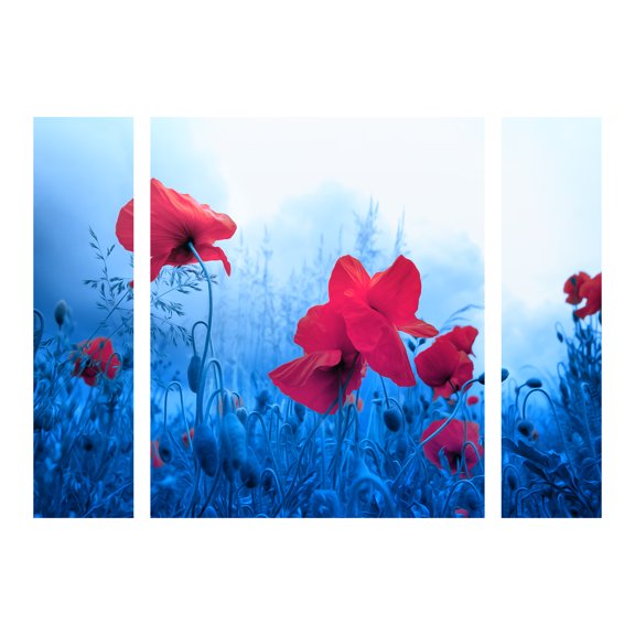 Trademark Fine Art 'Jam for Poppies' Multi-Panel Canvas Art Set by Philippe Sainte-Laudy
