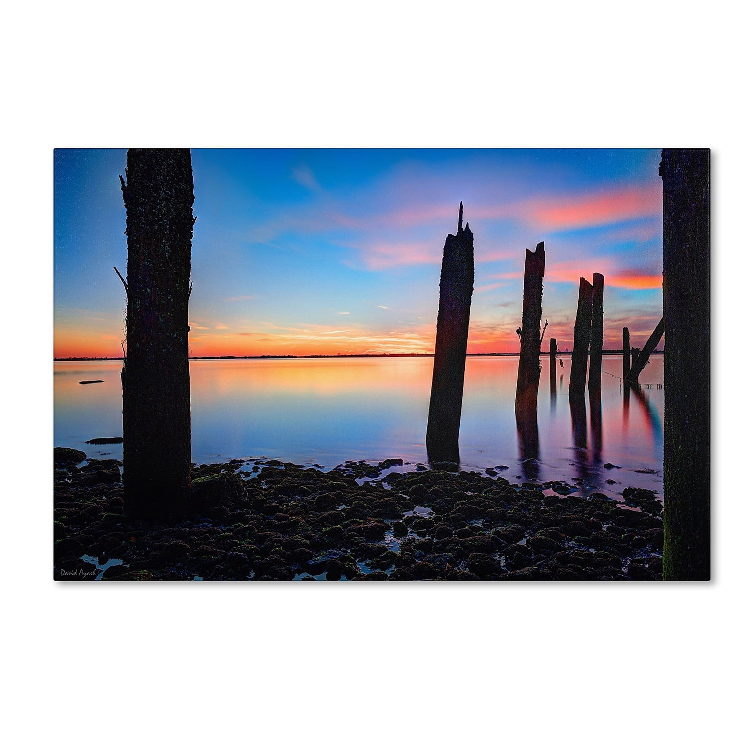 Trademark Fine Art "Jamaica Bay Sunset - NYC I" Canvas Art by David Ayash