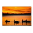 thumbnail image 1 of Trademark Fine Art "Jamaica Bay Sunset - NYC II" Canvas Art by David Ayash, 1 of 3