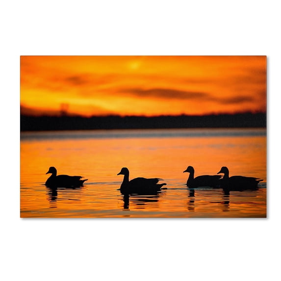 Trademark Fine Art "Jamaica Bay Sunset - NYC II" Canvas Art by David Ayash