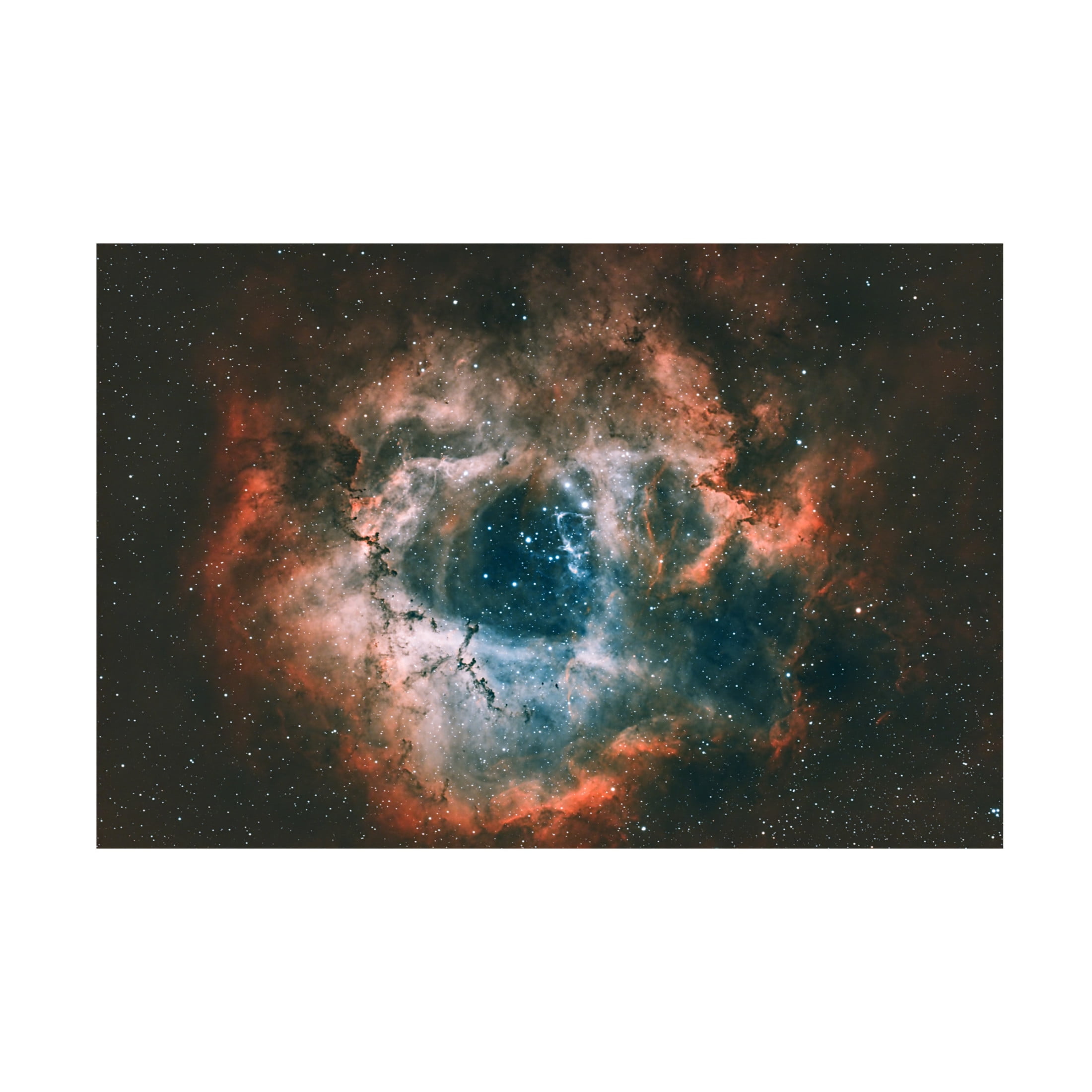 Trademark Fine Art James Zhen Yu Rosette Nebula Canvas Wall Art