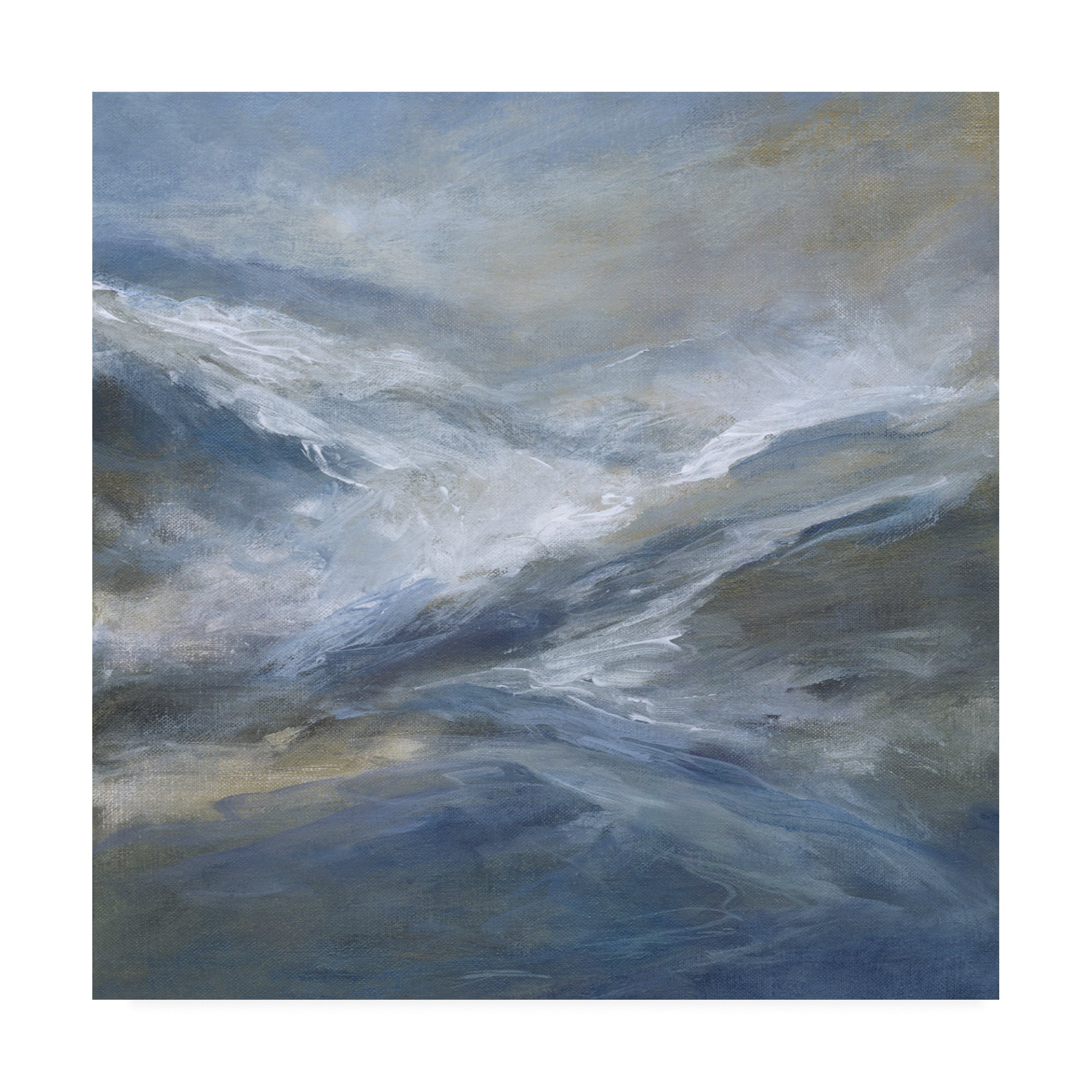 Trademark Fine Art 'January Seas' Canvas Art by Sheila Finch