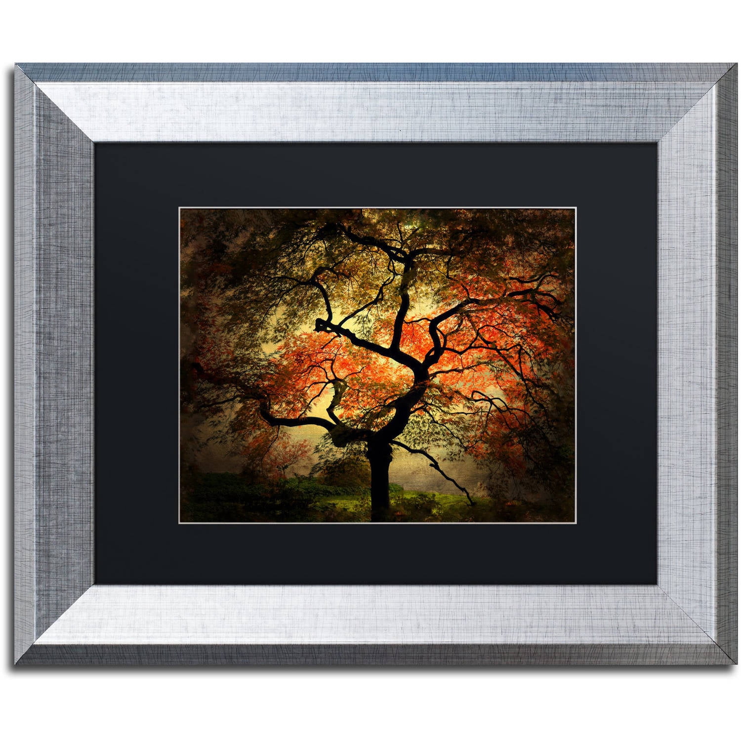 Trademark Fine Art "Japanese" Canvas Art by Philippe Sainte-Laudy Black Matte, Silver Frame