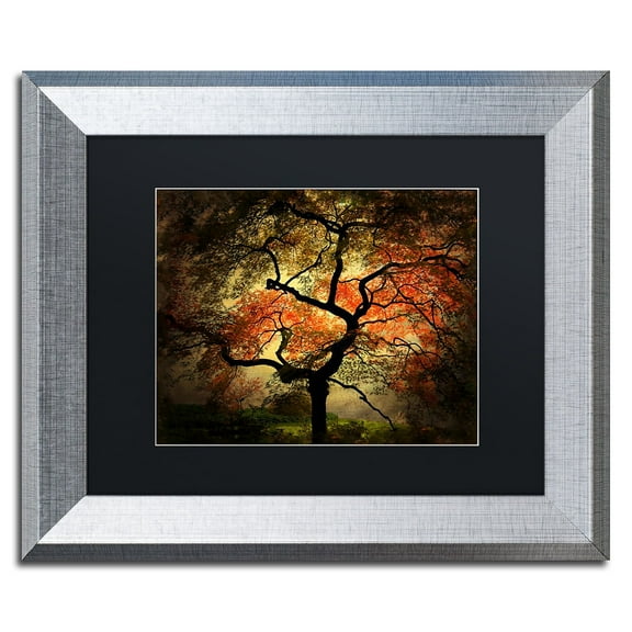 Trademark Fine Art "Japanese" Canvas Art by Philippe Sainte-Laudy Black Matte, Silver Frame