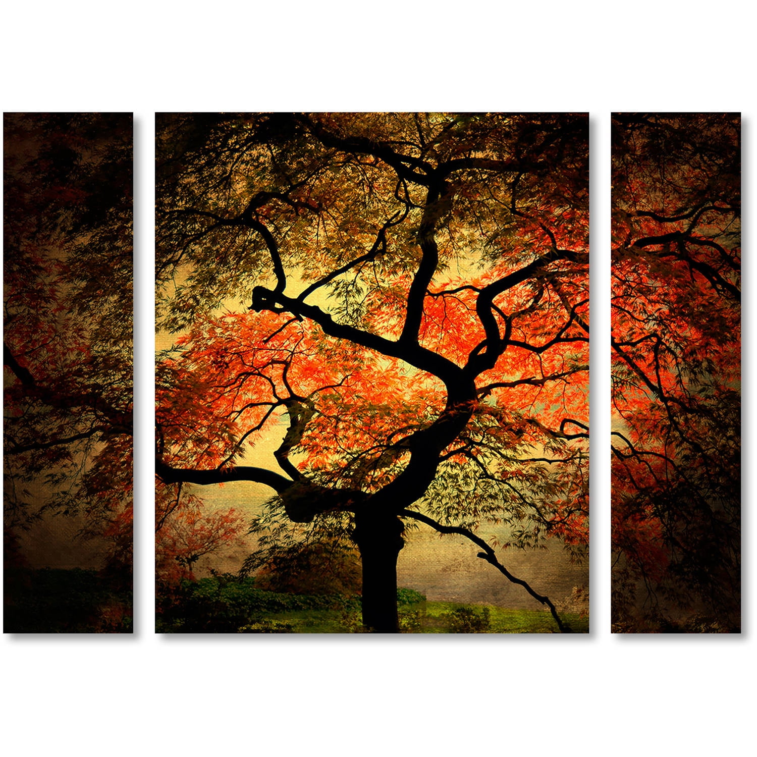 Trademark Fine Art "Japanese" Canvas Art by Philippe Sainte-Laudy Three Panel Set