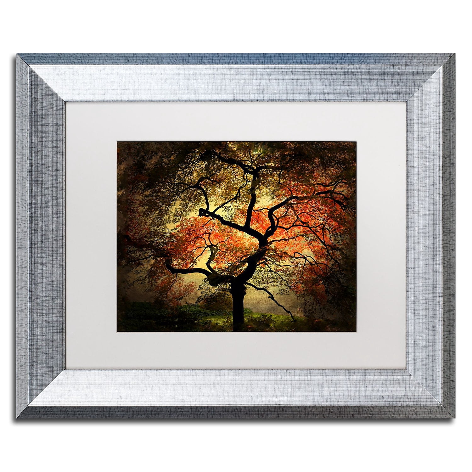 Trademark Fine Art "Japanese" Canvas Art by Philippe Sainte-Laudy White Matte, Silver Frame