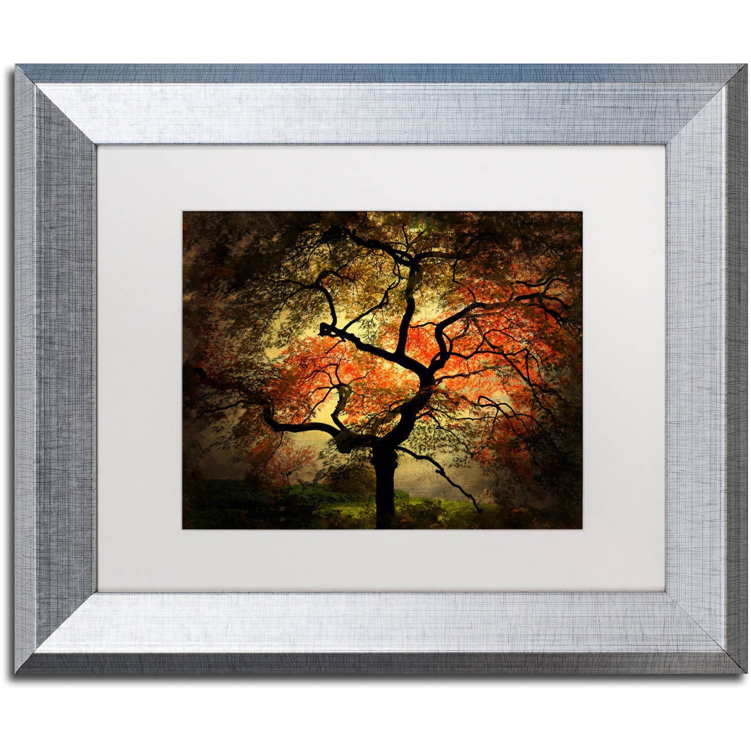 Trademark Fine Art "Japanese" Canvas Art by Philippe Sainte-Laudy White Matte, Silver Frame