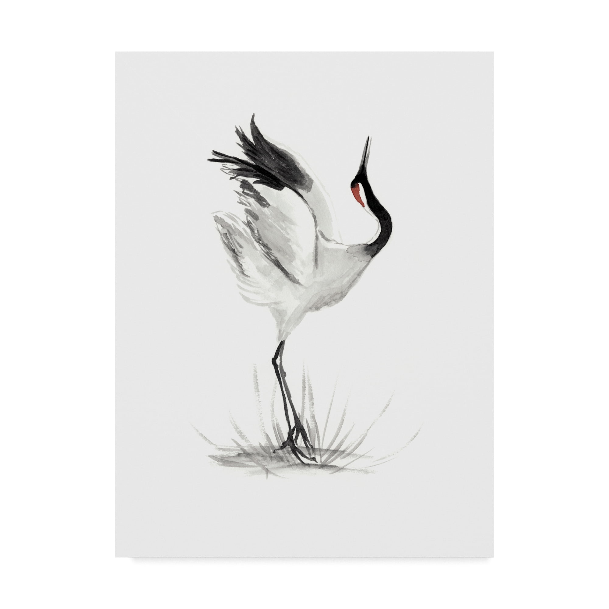Trademark Fine Art 'Japanese Cranes I' Canvas Art by Naomi McCavitt