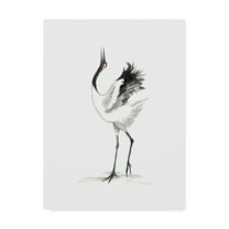 Trademark Fine Art 'Japanese Cranes IV' Canvas Art by Naomi McCavitt