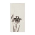 thumbnail image 1 of Trademark Fine Art 'Japanese Iris III' Canvas Art by Chris Paschke, 1 of 3