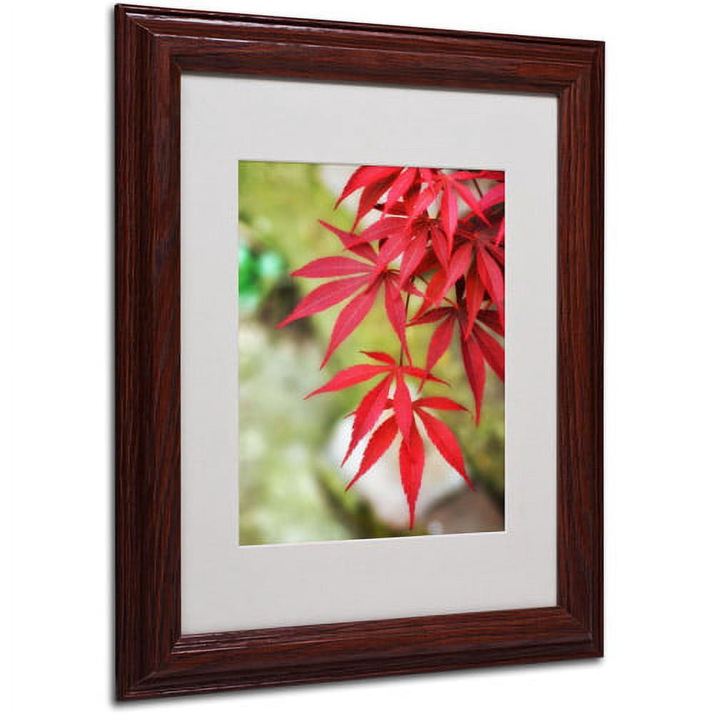 Trademark Fine Art "Japanese Maple" Canvas Art by Philippe Sainte-Laudy, Wood Frame