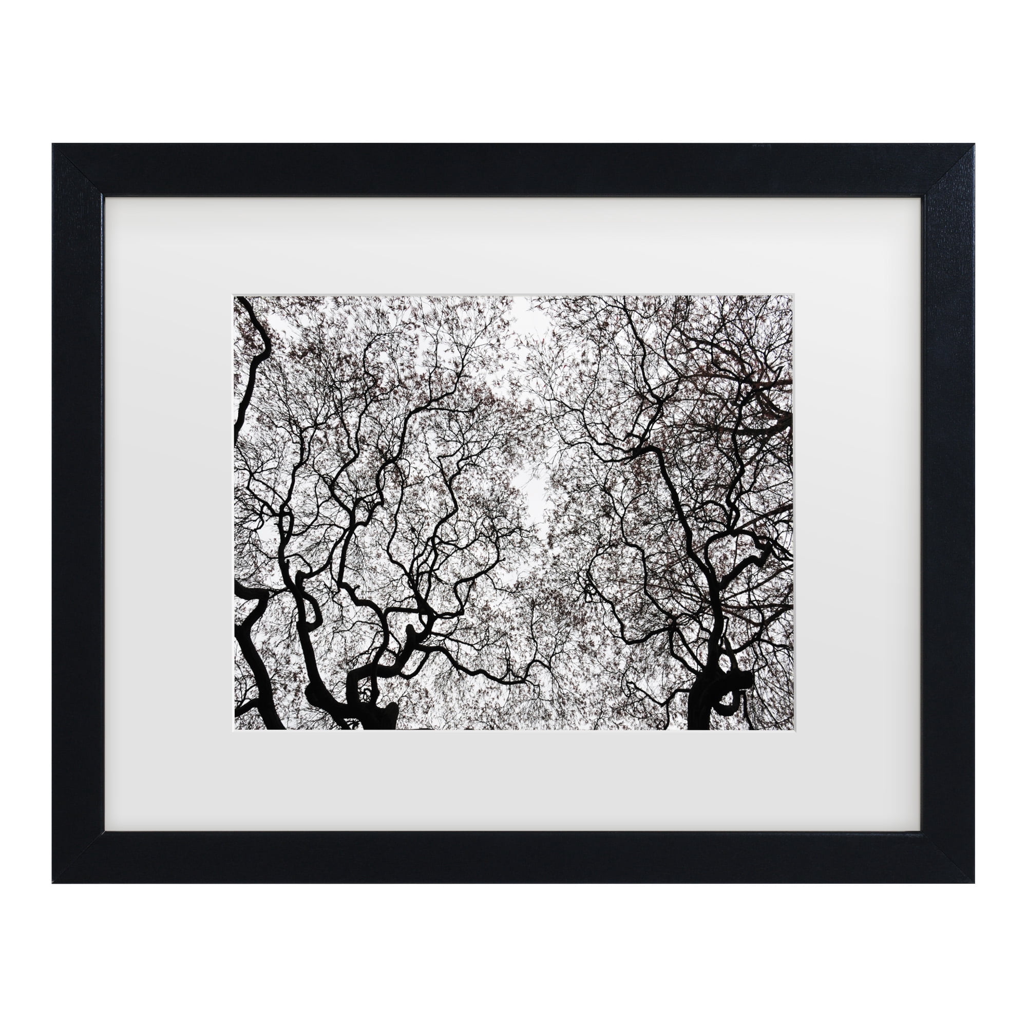 Trademark Fine Art 'Japanese Maple Spring Abstract' Canvas Art by Kurt Shaffer