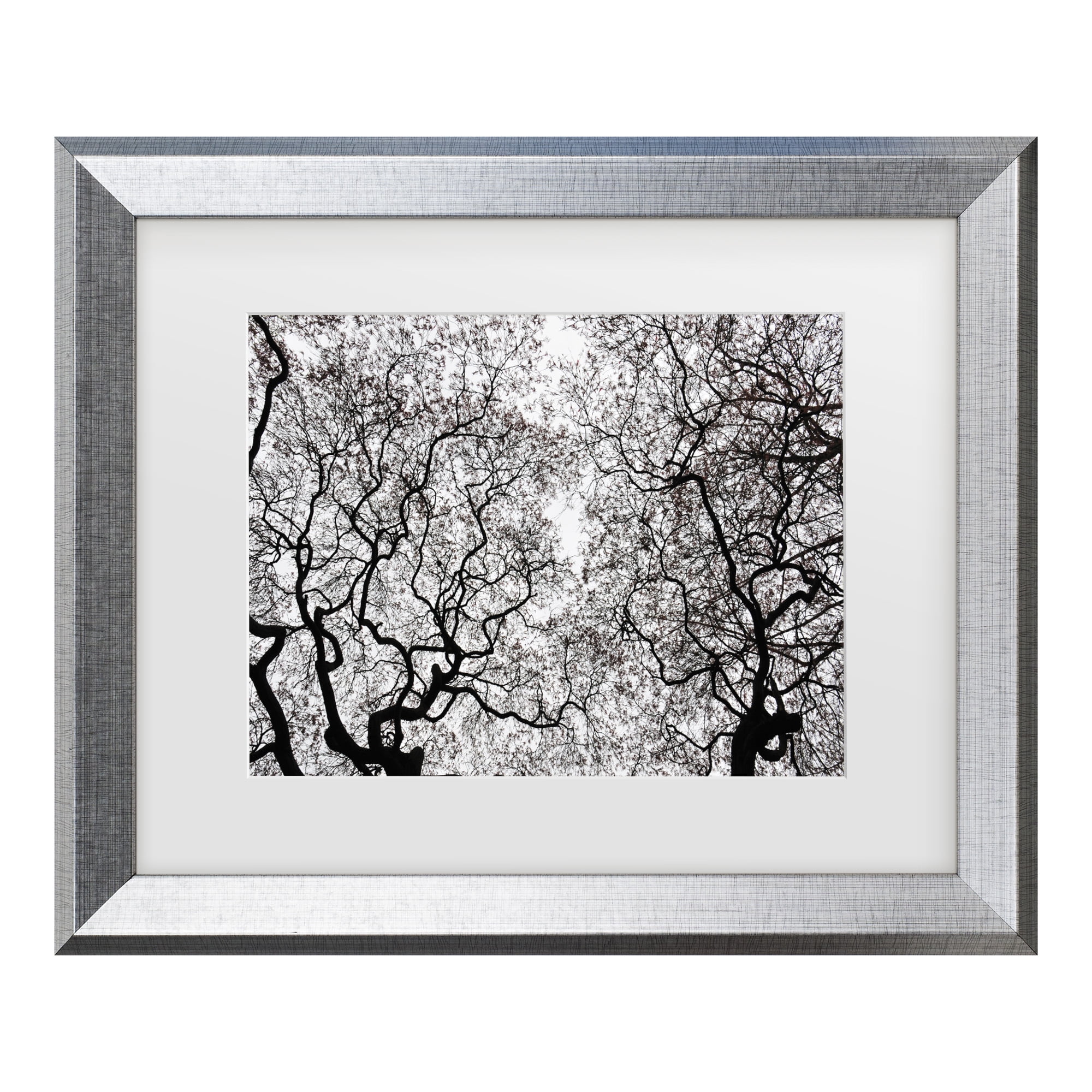 Trademark Fine Art 'Japanese Maple Spring Abstract' Canvas Art by Kurt Shaffer
