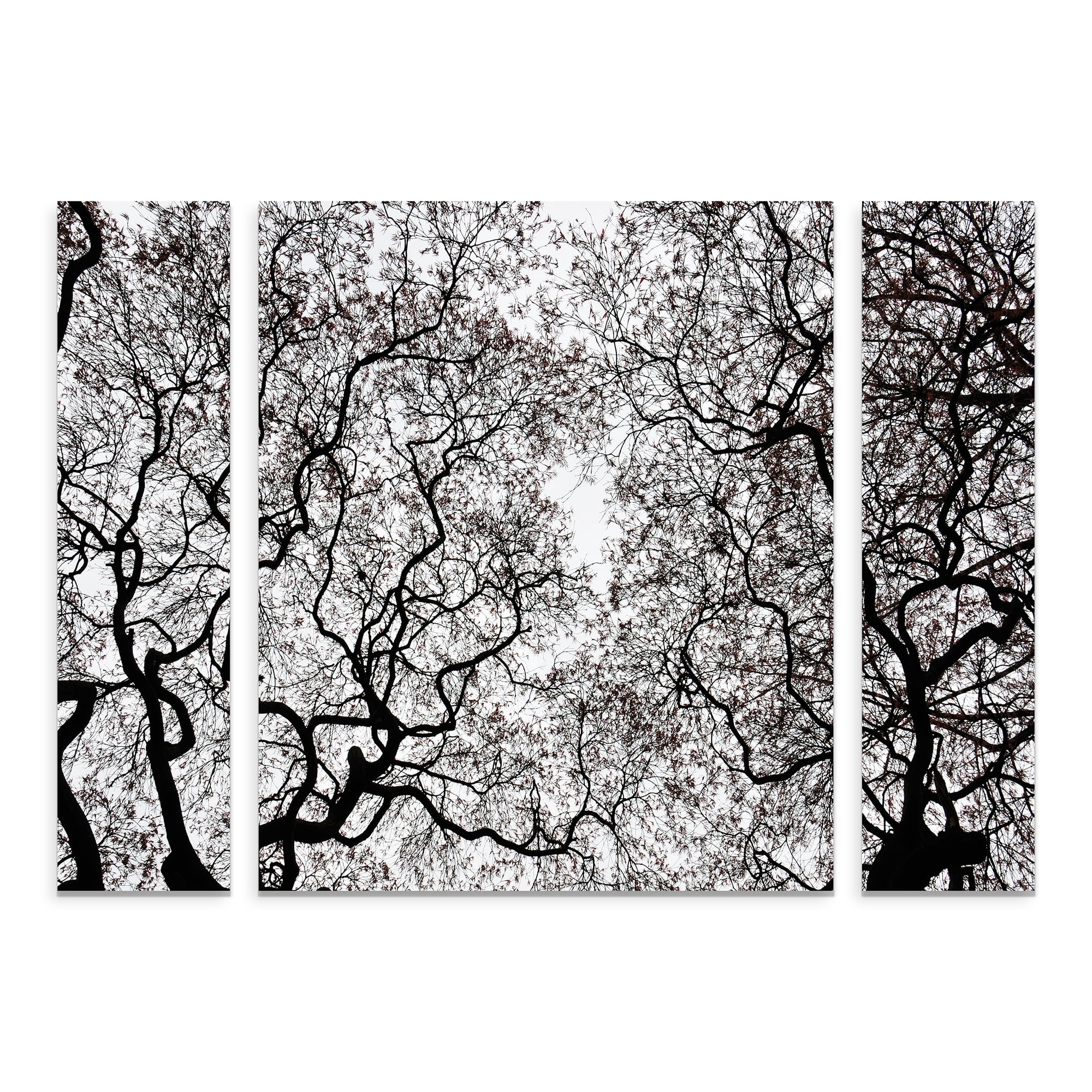 Trademark Fine Art 'Japanese Maple Spring Abstract' Canvas Art by Kurt Shaffer