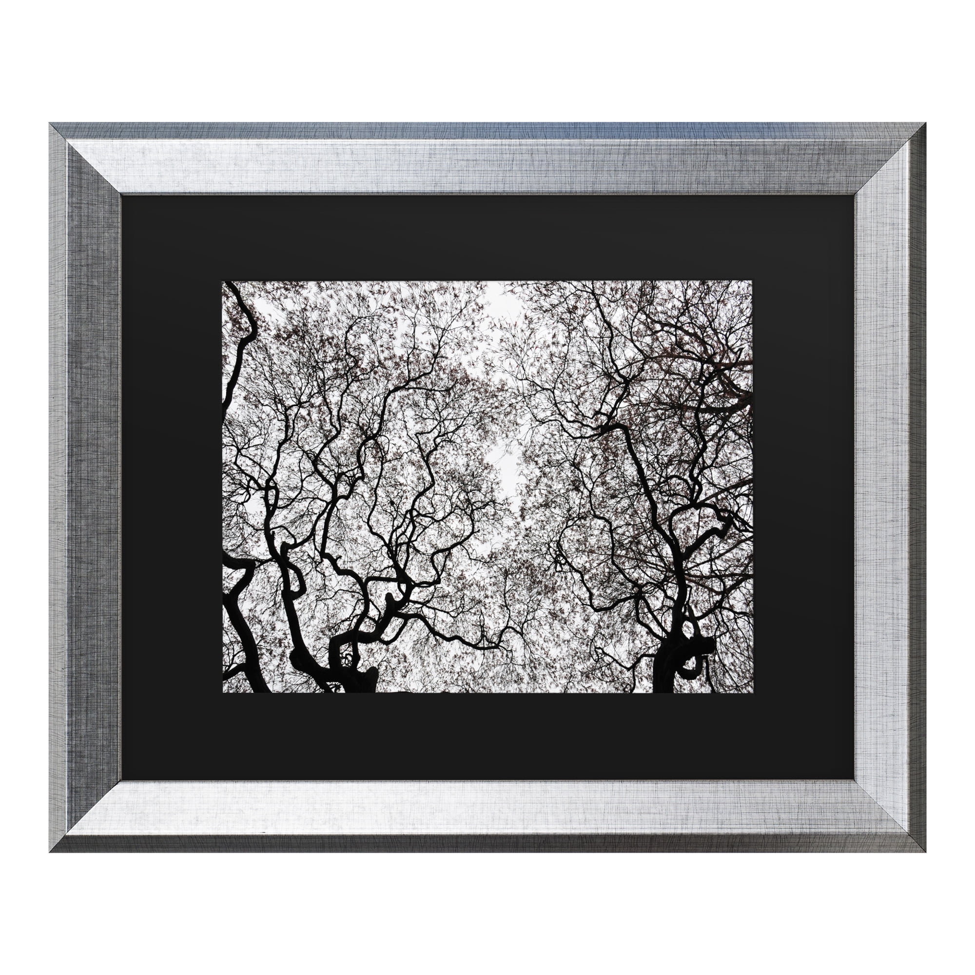 Trademark Fine Art 'Japanese Maple Spring Abstract' Canvas Art by Kurt Shaffer